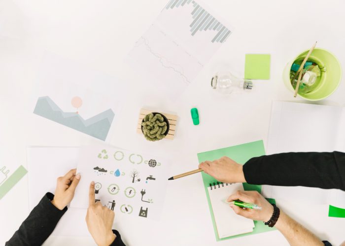 Financial Roadmap for Sustainable Business Growth
